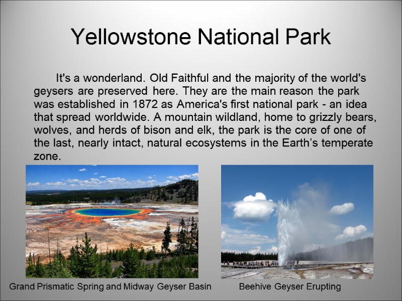 Yellowstone National Park    It's a wonderland. Old Faithful and the majority